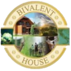 Bivalent House Srl